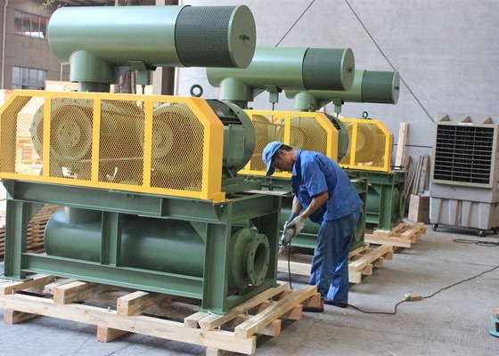 10" 80kpa 71.52m3/Min 132kw dökme demir üç lob kökleri nefesi