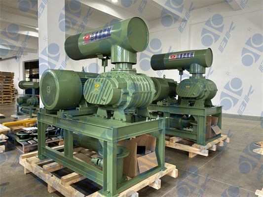 11kw 5.1m3/Min 60kpa Roots Döner Lob Blower 1750 Rpm Dn65 3" Küçük Kapasiteli