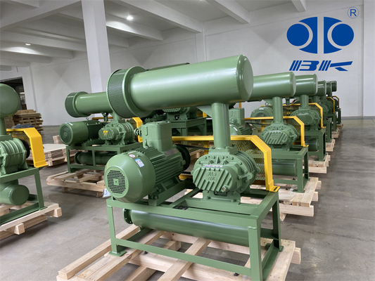 11kw 5.1m3/Min 60kpa Roots Döner Lob Blower 1750 Rpm Dn65 3" Küçük Kapasiteli