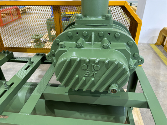 55kw Demir BKW6005 Atık suları havalandırmak için üç loblu kök nefesi