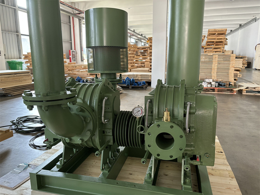 Yüksek Basınçlı Kök Lobe Blower 100Kpa-150Kpa İki Aşama DN100