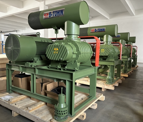 BK8016S Üç Lobe Rotary Blower Of Pipe Ozon Çözüm Üretmek için Müşterilerin İhtiyacı