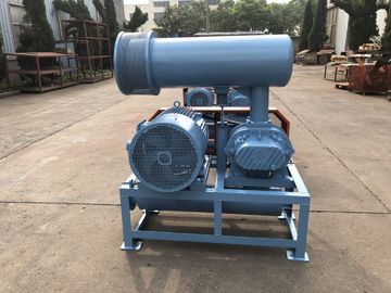 DN200 30-132KW 80KPA Hava Soğutma Özel Gıda Teslimatı Rotary Roots Style Blower