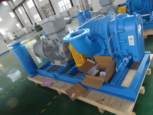 DN40 0.42-1.42 M3/min Özel gaz için paslanmaz çelik kök üfleyicisi