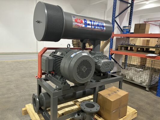 DN40 (1.5' ') Üç Loblu Kökler Fırlatıcı 0.37-1.11 m3/min Hava Kapasitesi ve 2300 rpm Maksimum Hız