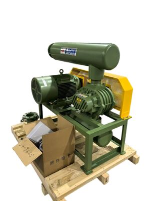 Endüstriyel Kök Fırlatıcı Vacuum Pompası, Çeşitli Sektörlerde Vakum Hava Teslimi için 850 ila 1800 rpm dönme hızı aralığı ile