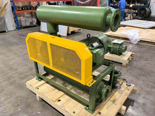 Çeşitli Endüstrilerde Vakum Hava Kapasitesi için Giriş ve Çıkış Boyutu DN350 olan Roots Blower Vakum Pompası Model BV10034