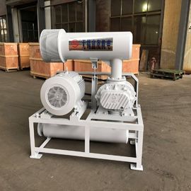 1100rpm 71.52m3/Dk Havalandırma Geri Yıkama için Üç Loblu Döner Blower
