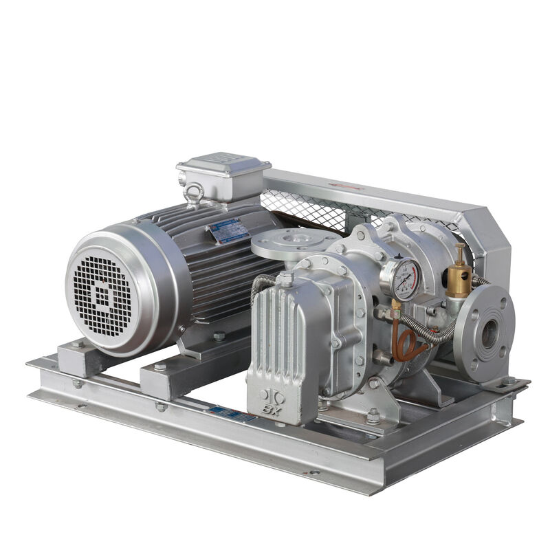 BX100 4'' 3.18-11.74 m3/min 0.1-0.7 kgf/cm2 BX Serisi Paslanmaz Çelik Kök Fırlatıcı