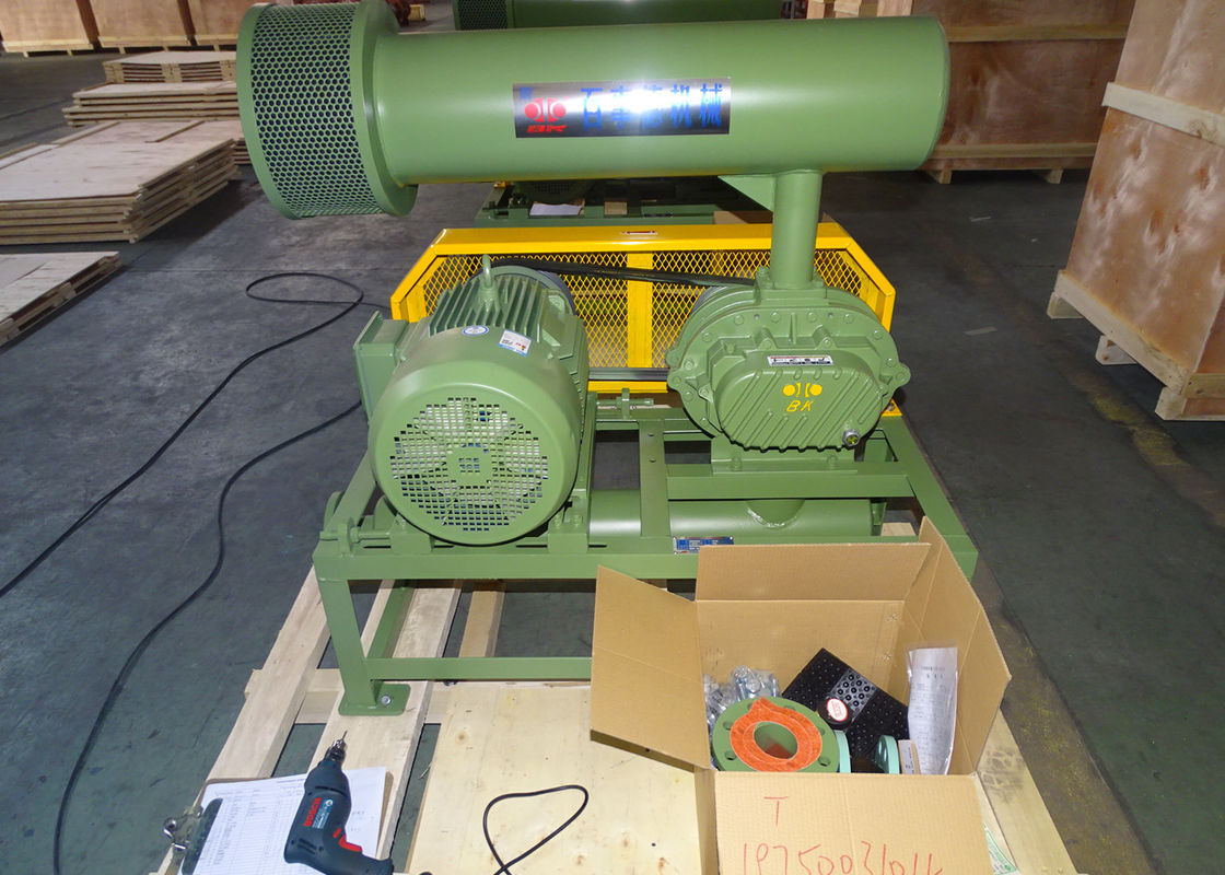 11kw 5.1m3/Min 60kpa Roots Döner Lob Blower 1750 Rpm Dn65 3" Küçük Kapasiteli
