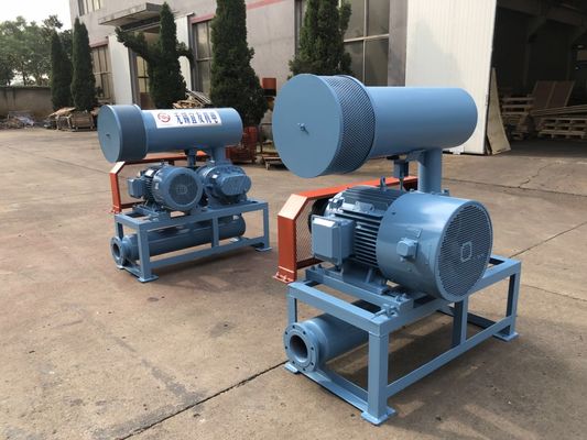 DN200 30-132KW 80KPA Hava Soğutma Özel Gıda Teslimatı Rotary Roots Style Blower