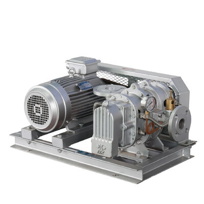 BX100 4'' 3.18-11.74 m3/min 0.1-0.7 kgf/cm2 BX Serisi Paslanmaz Çelik Kök Fırlatıcı