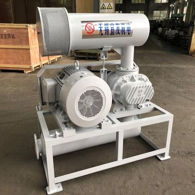 1100rpm 71.52m3/Dk Havalandırma Geri Yıkama için Üç Loblu Döner Blower