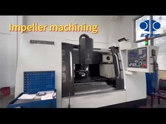 B-TOHIN Kökler üfleyen döngü