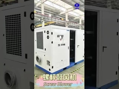 BLG Döşeme Kök Fırlatıcı